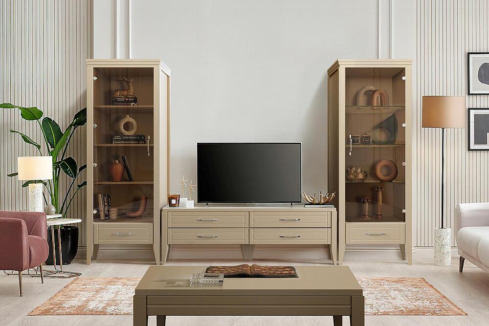 მისაღები  "ორლი"