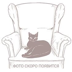 Фото - 3-х местный диван «Цезарь» (3м)