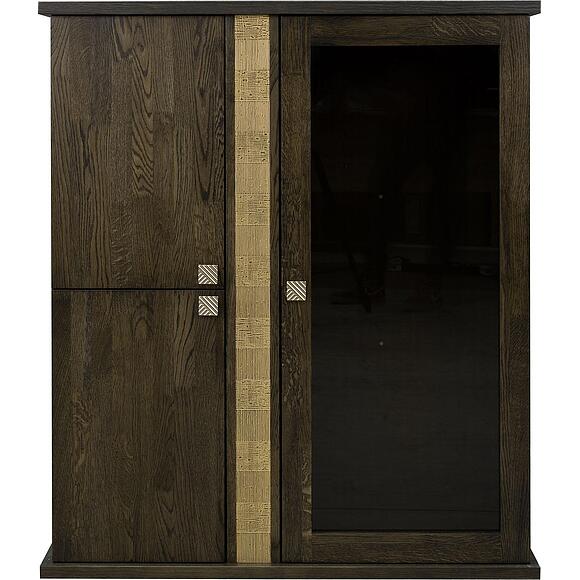 კომბინირებული ჩამოსაკიდი კარადა «ტუნისი» პ6.343.0.28 (პ343.28შ), ადგილი: დსპ+შპონი, ფერი: ვენგე+ოქრო