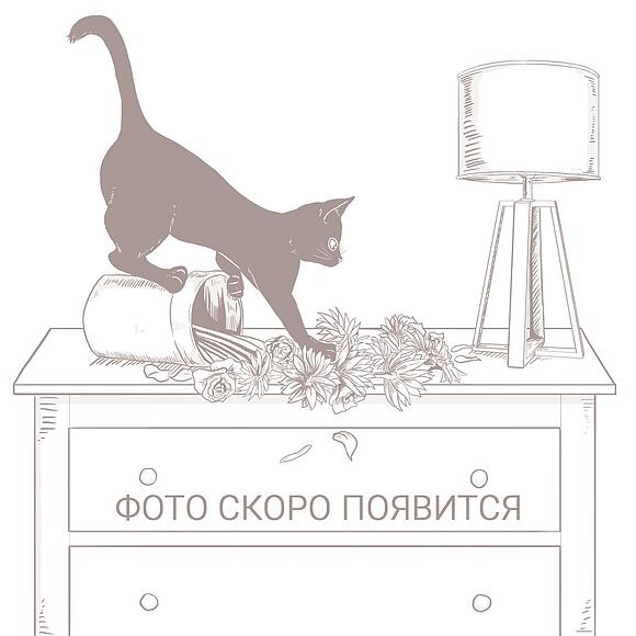 Стол журнальный «Тунис» П6.343.0.10 (П343.10Ш), Материал: ДСП+шпон, Цвет: Дуб рустикаль с золочением () Стол журнальный «Тунис» П6.343.0.10 (П343.10Ш), Материал: ДСП+шпон, Цвет: Дуб рустикаль с золочением
